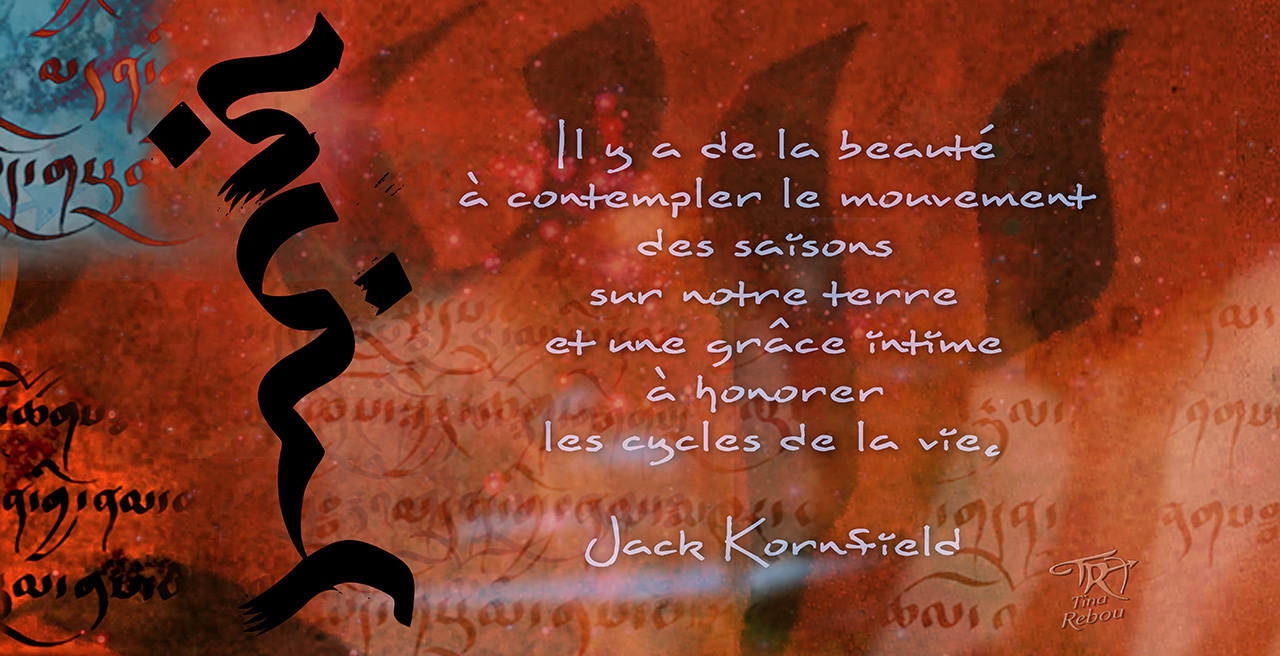 Citation Jack Kornfield Tinarebou Art Et Design