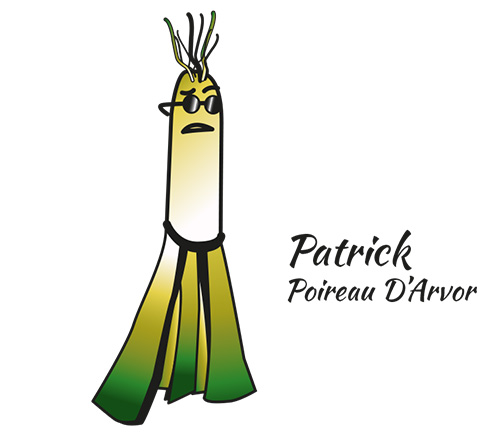 Patrick Poireau d'Arvor | Journaliste animateur TV SAN DIEGO
