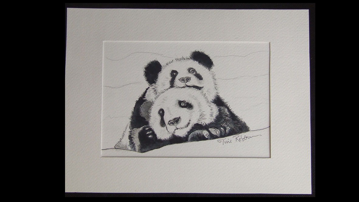 Portrait complicité Pandas - Croquis  Encre et aquarelle