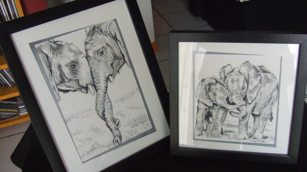 Portraits Elephants  - Croquis encre et aquarelle