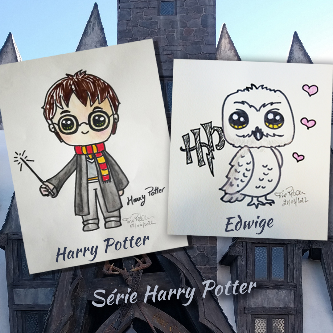 Série Harry POTTER | Harry Potter et Edwige