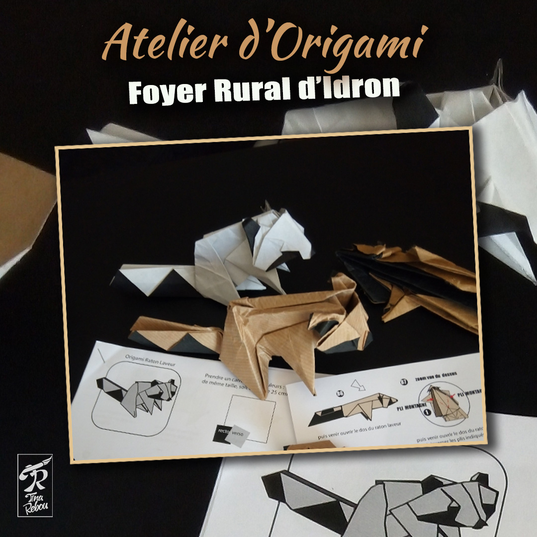Série Origami | Ratons Laveurs