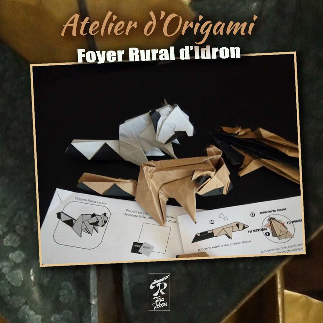 Série Origami | Ratons  Laveurs