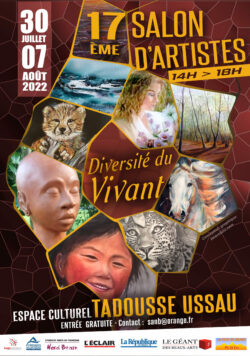 17ème Salon d&rsquo;Artistes | Tadousse Ussau